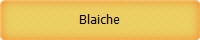 Blaiche