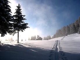 skitour6.jpg - 40 (Kbytes)&nbsp;&nbsp;&nbsp;